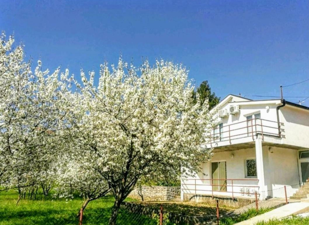 Apartments Pasha Blagaj Exteriör bild